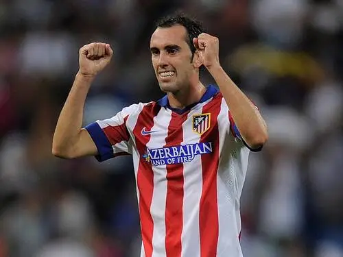 Diego Godin Wall Poster picture 671332