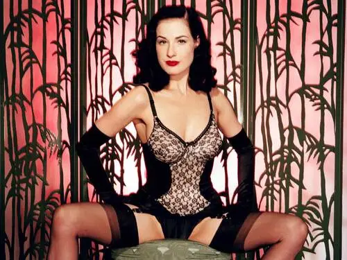 Dita Von Teese Wall Poster picture 131453