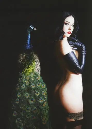 Dita Von Teese Wall Poster picture 6271