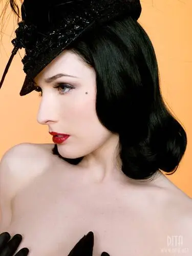 Dita Von Teese Computer MousePad picture 68814