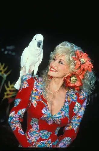 Dolly Parton Image Jpg picture 596332