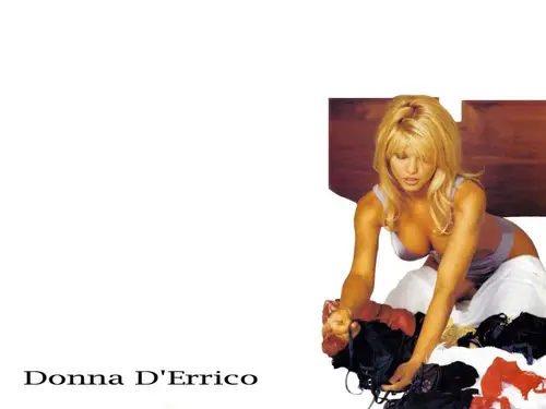 Donna DErrico Wall Poster picture 95675