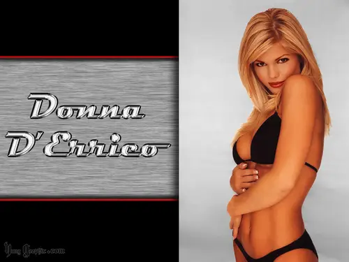 Donna DErrico Wall Poster picture 95682