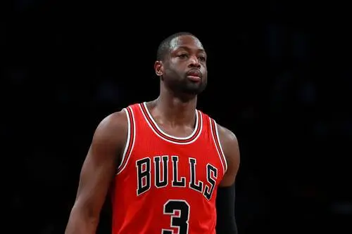 Dwyane Wade Jigsaw Puzzle picture 711677