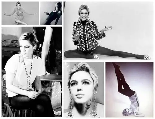 Edie Sedgwick Jigsaw Puzzle picture 167401