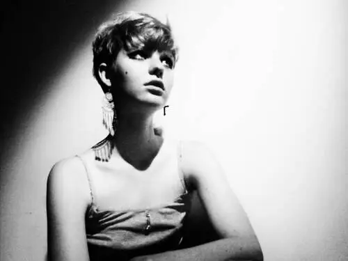 Edie Sedgwick Wall Poster picture 167404