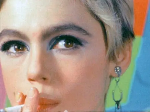 Edie Sedgwick Jigsaw Puzzle picture 167434