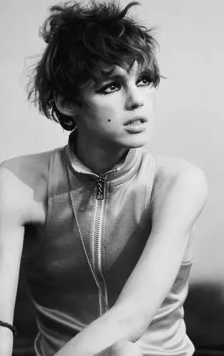 Edie Sedgwick Jigsaw Puzzle picture 61429