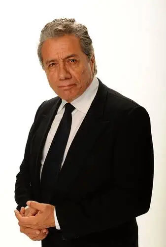 Edward James Olmos Jigsaw Puzzle picture 511450