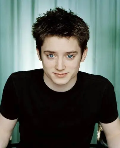 Elijah Wood Wall Poster picture 33339