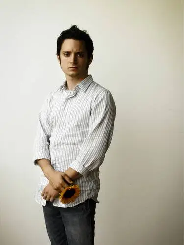 Elijah Wood Wall Poster picture 481468