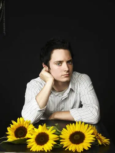 Elijah Wood Wall Poster picture 481470