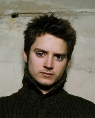 Elijah Wood Wall Poster picture 6565