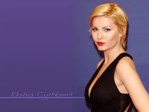 Elisha Cuthbert Wall Poster picture 133854