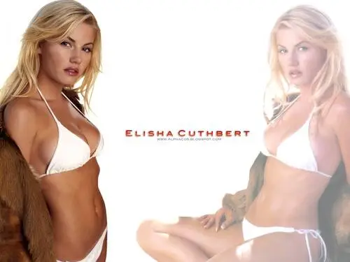 Elisha Cuthbert Wall Poster picture 133866