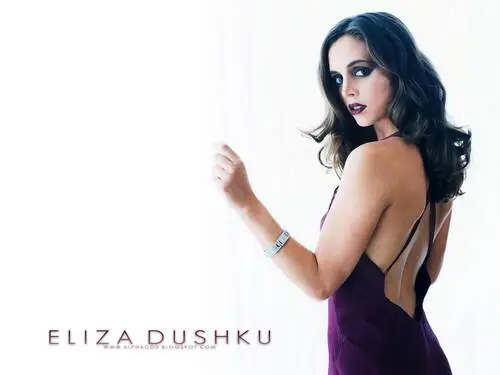 Eliza Dushku Wall Poster picture 134286