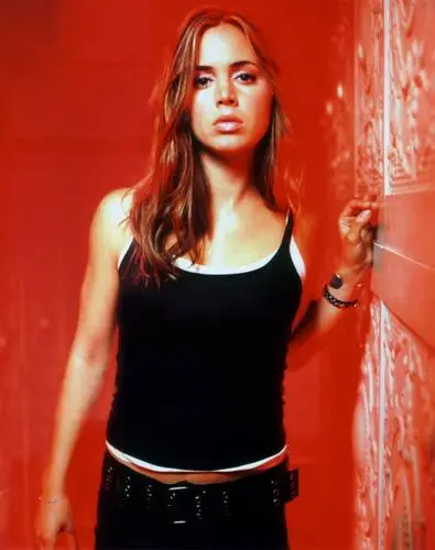 Eliza Dushku Wall Poster picture 6708