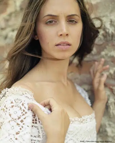Eliza Dushku Wall Poster picture 6748