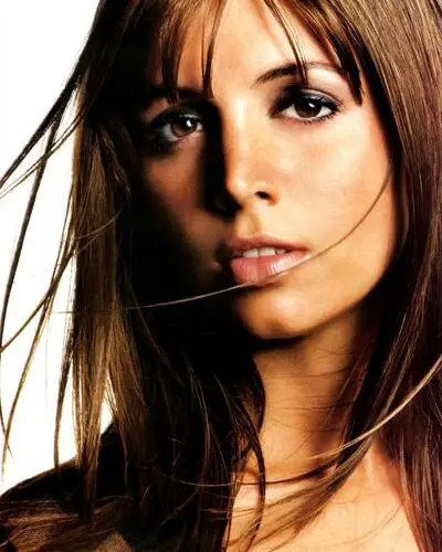 Eliza Dushku Wall Poster picture 6761