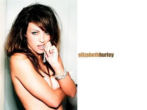 Elizabeth Hurley Jigsaw Puzzle picture 134377