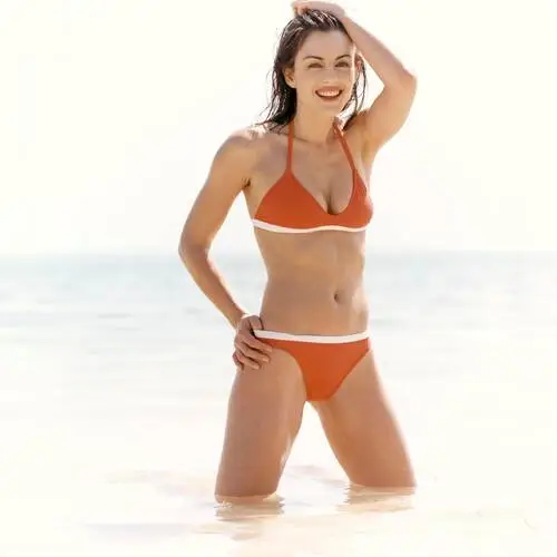 Elizabeth Hurley Jigsaw Puzzle picture 68864