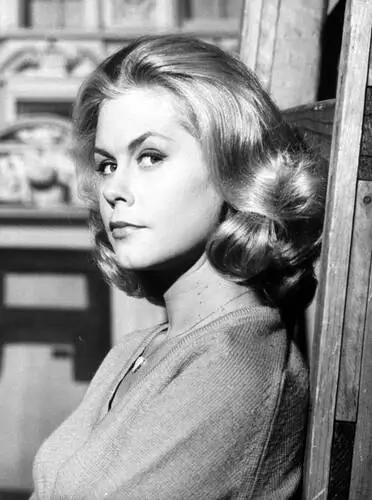 Elizabeth Montgomery Wall Poster picture 599159
