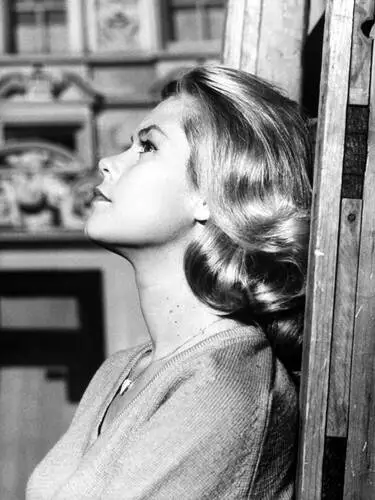 Elizabeth Montgomery Wall Poster picture 599160