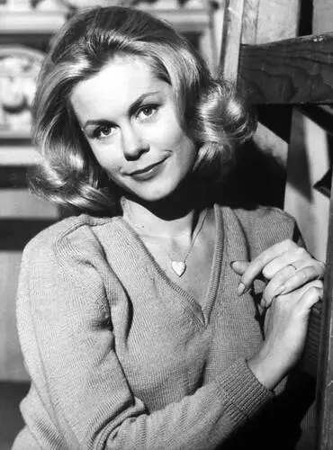 Elizabeth Montgomery Wall Poster picture 599161