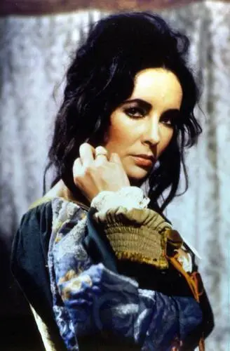 Elizabeth Taylor Wall Poster picture 21877