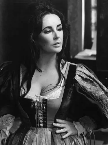 Elizabeth Taylor Wall Poster picture 21880