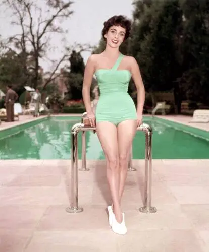 Elizabeth Taylor Wall Poster picture 33705