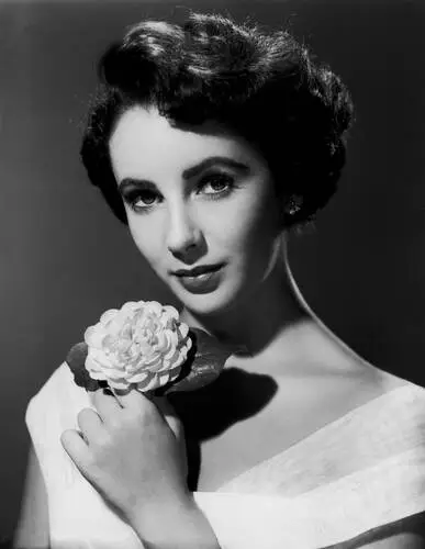 Elizabeth Taylor Wall Poster picture 351486