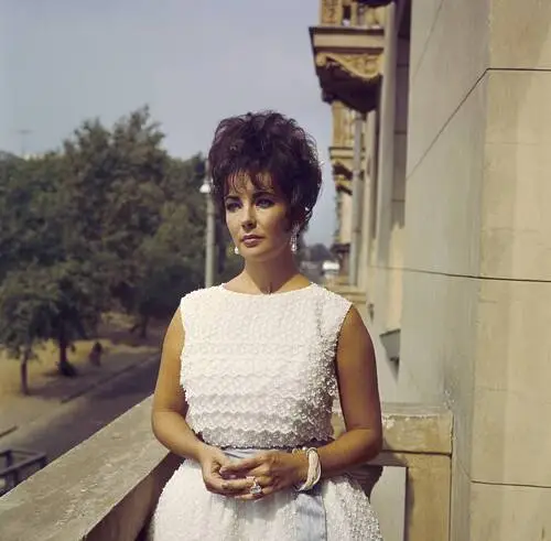 Elizabeth Taylor Wall Poster picture 351841