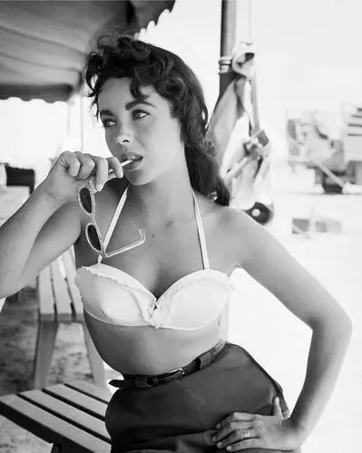 Elizabeth Taylor Wall Poster picture 351852