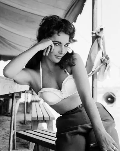 Elizabeth Taylor Wall Poster picture 351853