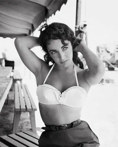 Elizabeth Taylor Wall Poster picture 351854
