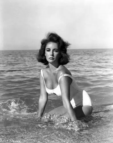 Elizabeth Taylor Wall Poster picture 599210