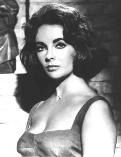 Elizabeth Taylor Wall Poster picture 599223