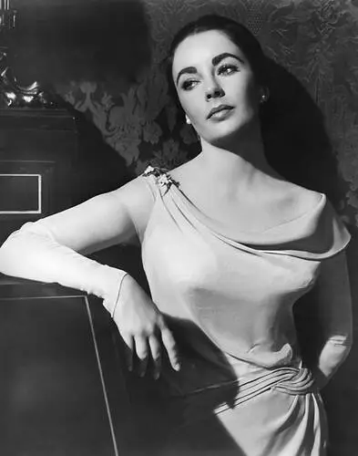 Elizabeth Taylor Wall Poster picture 599234