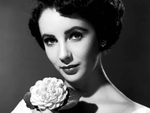 Elizabeth Taylor Wall Poster picture 87460