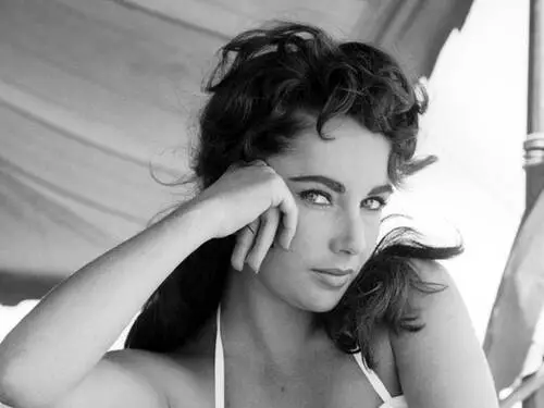 Elizabeth Taylor Wall Poster picture 87462