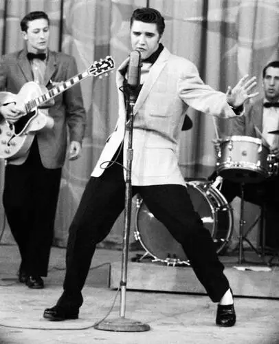 Elvis Presley Jigsaw Puzzle picture 352042