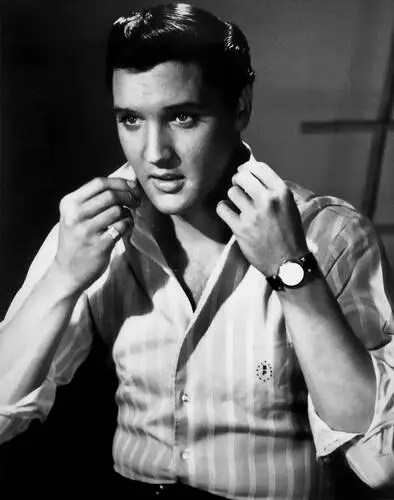 Elvis Presley Wall Poster picture 352059