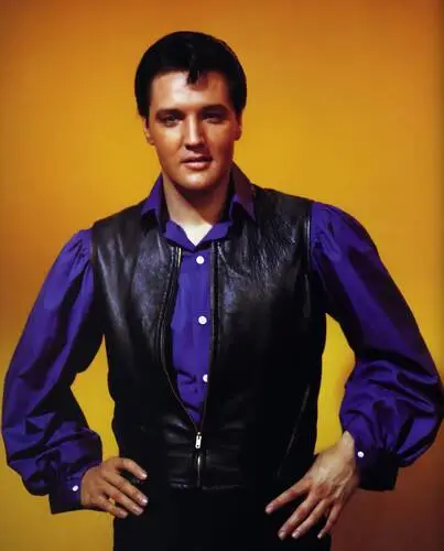 Elvis Presley Men's Colored T-Shirt - idPoster.com