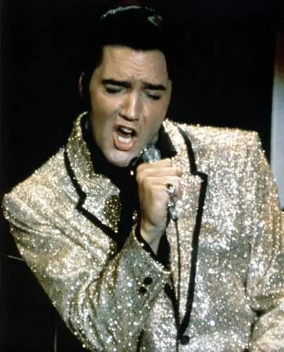Elvis Presley Jigsaw Puzzle picture 352077
