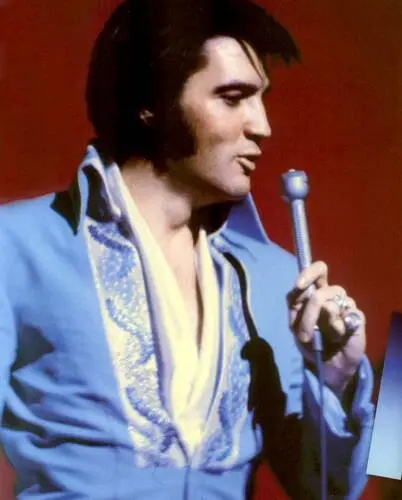 Elvis Presley Fridge Magnet picture 352093