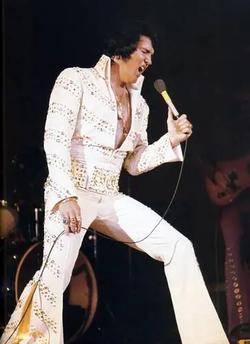 Elvis Presley Fridge Magnet picture 352098