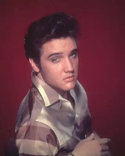 Elvis Presley Wall Poster picture 352113