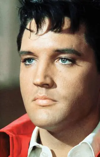 Elvis Presley Fridge Magnet picture 352118