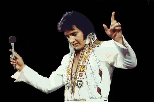 Elvis Presley Jigsaw Puzzle picture 75602